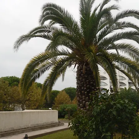 Apartment Vittoria Immobilier 9 -reglement Sur Place - Cheques Acceptes *